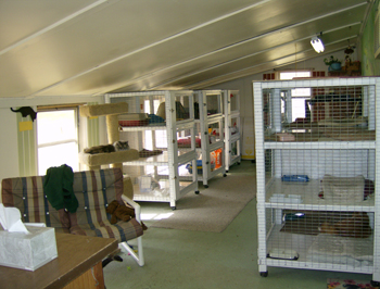 Kitty Apartments